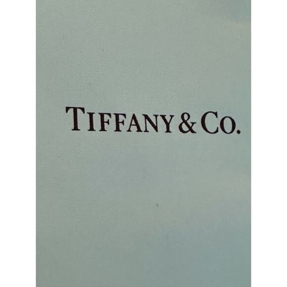 Tiffany & Co gift bag teal white rope handle jewelry crystal .925 Return to - Picture 5 of 8